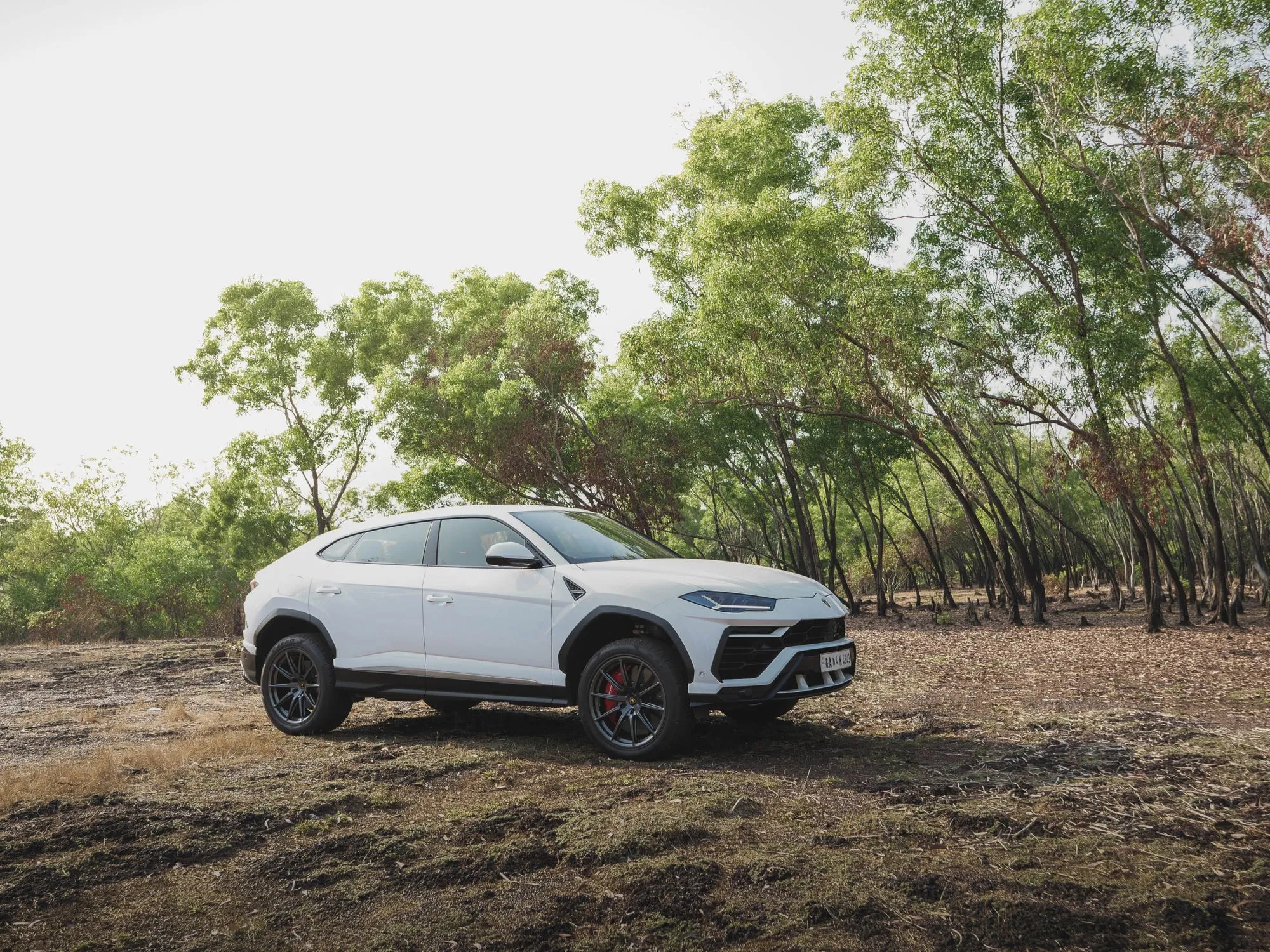A white performance SUV photographed among trees in low sunlight